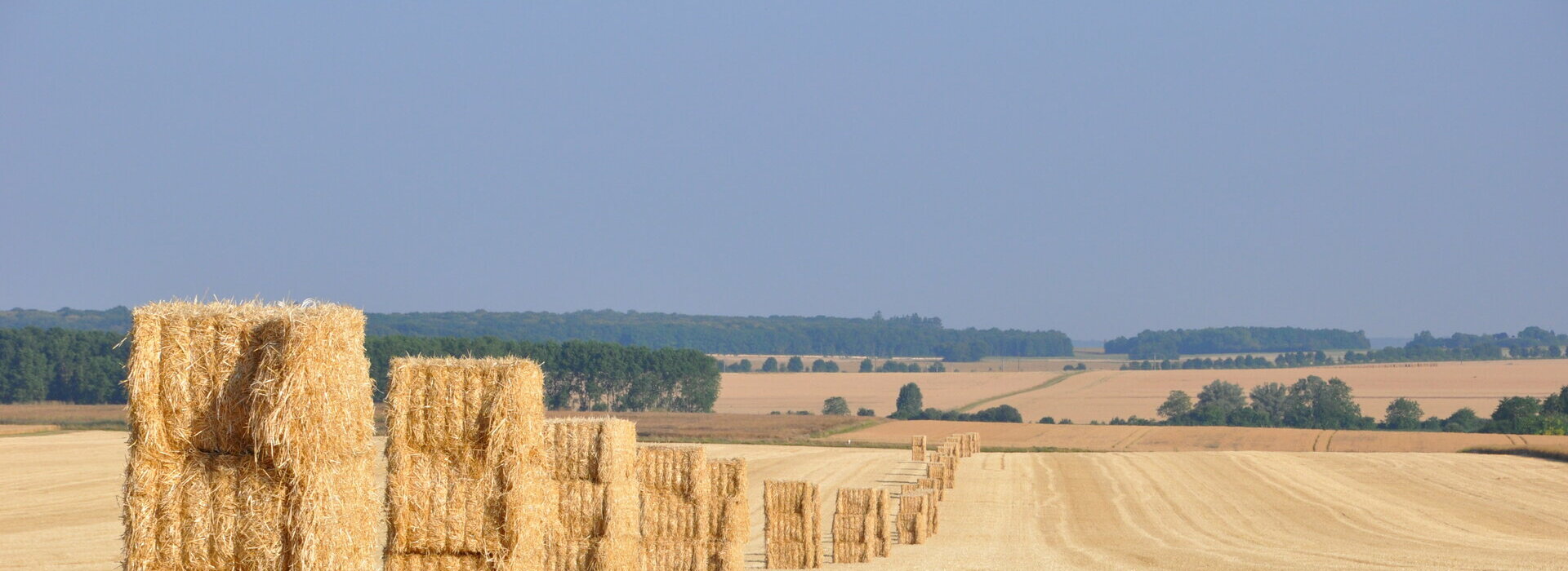 Communauté de Communes Levroux Boischaut Champagne