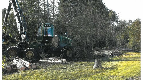 Travaux à l'étang