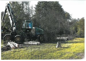 Travaux à l'étang